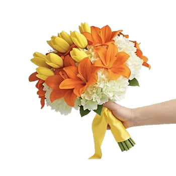 Blossom Harmony Display