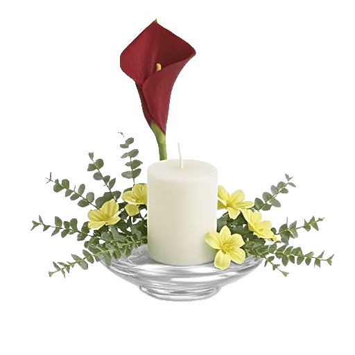 Elegant Calla Lilies
