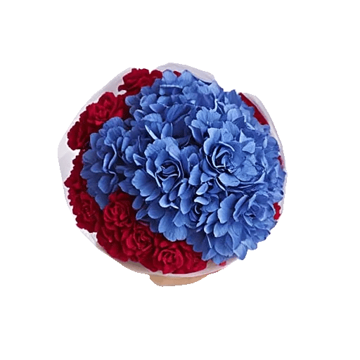 Sapphire Bloom Whisper