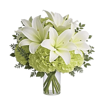 Ivory Blossom Radiance