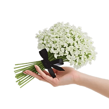 Graceful Lily Display
