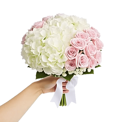 Serene Petal Harmony