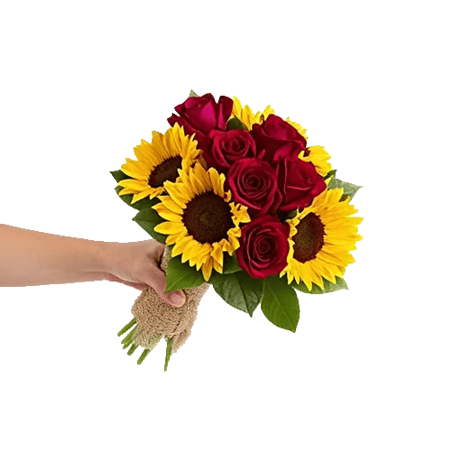 Crimson Rose Elegance