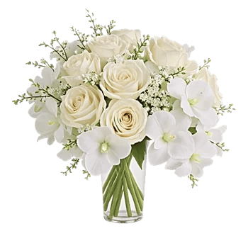 Ivory Blossom Radiance