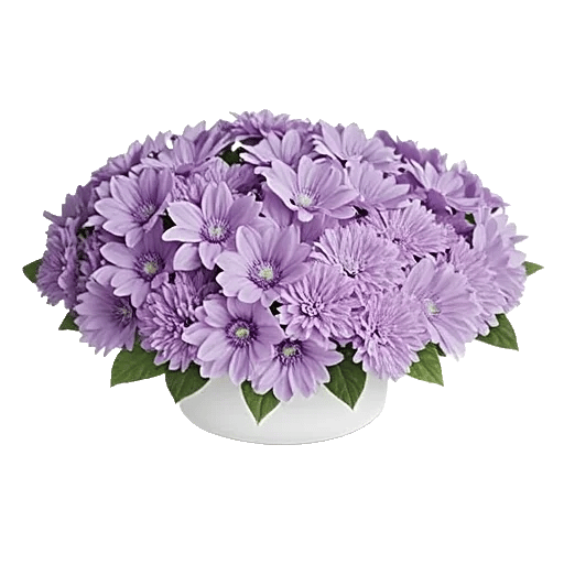 Lavender Bloom Grace