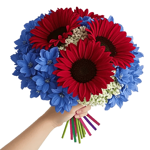 Radiant Bloom Cascade