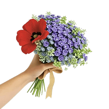 Blushing Rose Symphony