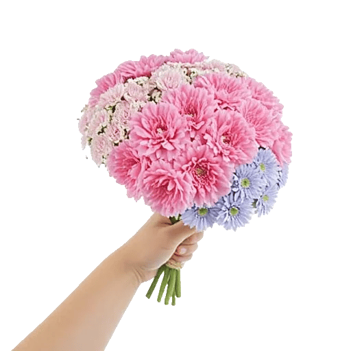 Pastel Pink Roses