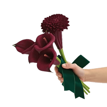 Elegant Calla Lilies