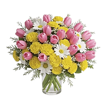 Blossom Harmony Display