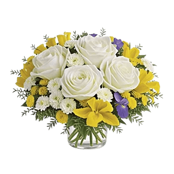 Modern White Orchids