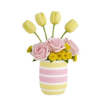 Velvet Tulip Display