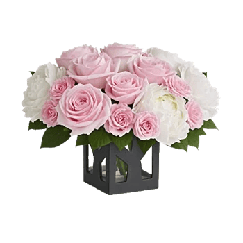 Petal Radiance Bliss