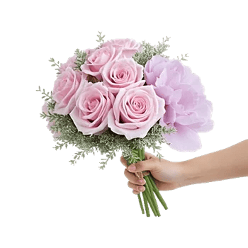 Pastel Pink Roses