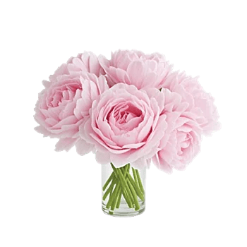 Petal Radiance Bliss