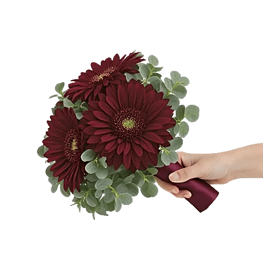 Deep Red Foliage