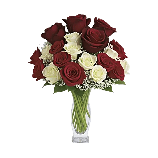 Crimson Rose Elegance