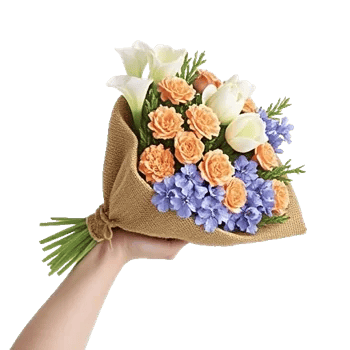 Elegant Calla Lilies