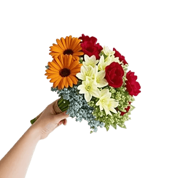 Coral Blossom Harmony