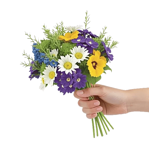 Rosemary Bloom Elegance