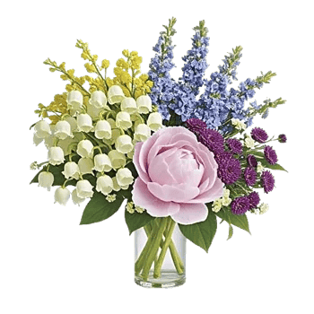 Ivory Blossom Radiance