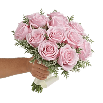 Pastel Pink Roses