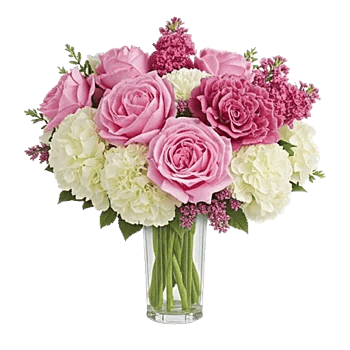 Petal Radiance Bliss