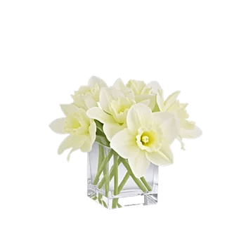 Graceful Lily Display