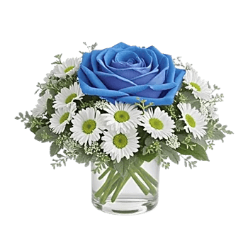Elegant Blue Roses