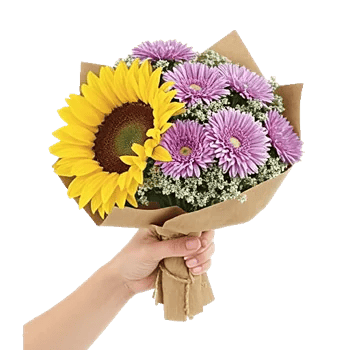 Twinkling Sunflower Dance