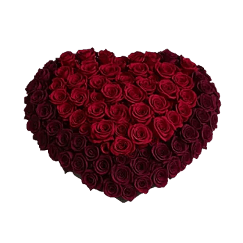 Crimson Rose Elegance