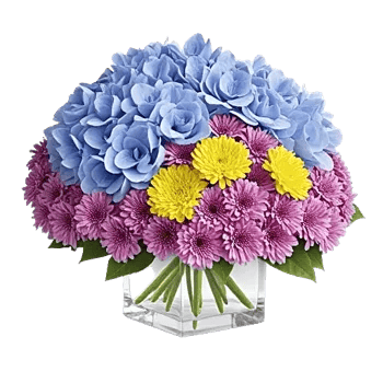 Azure Sky Blooms