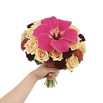 Blushing Rose Symphony