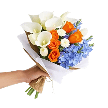 Elegant Calla Lilies