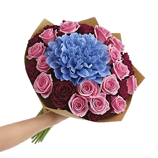 Serene Petal Harmony