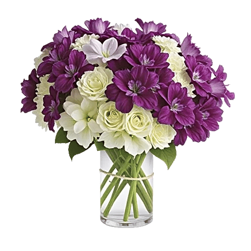 Ivory Blossom Radiance