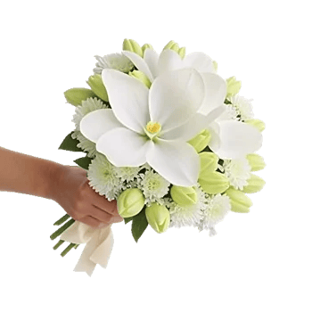 Blossom Harmony Display