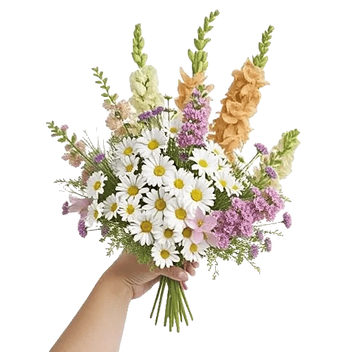 Daisy Meadow Spread