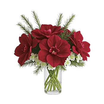 Crimson Blossom Harmony