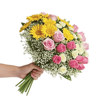 Blossom Harmony Display