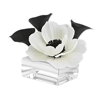 Elegant Calla Lilies