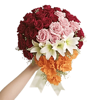 Delicate Petal Cascade