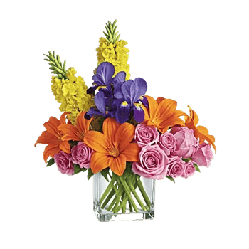 Petal Radiance Bliss