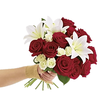 Crimson Rose Elegance