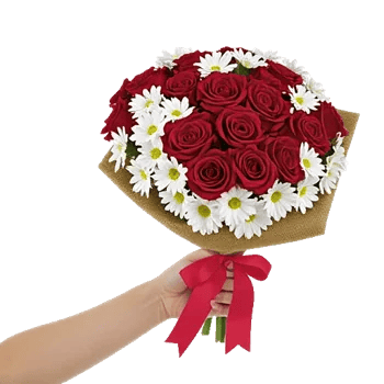 Crimson Rose Elegance