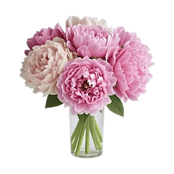 Petal Radiance Bliss