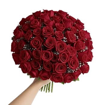 Crimson Rose Elegance
