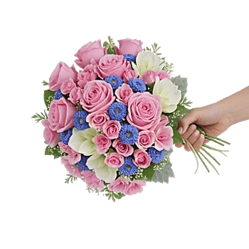 Pastel Pink Roses