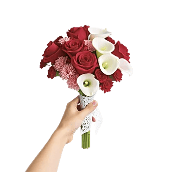 Crimson Rose Elegance