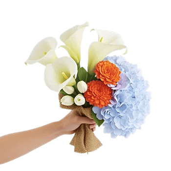 Elegant Calla Lilies